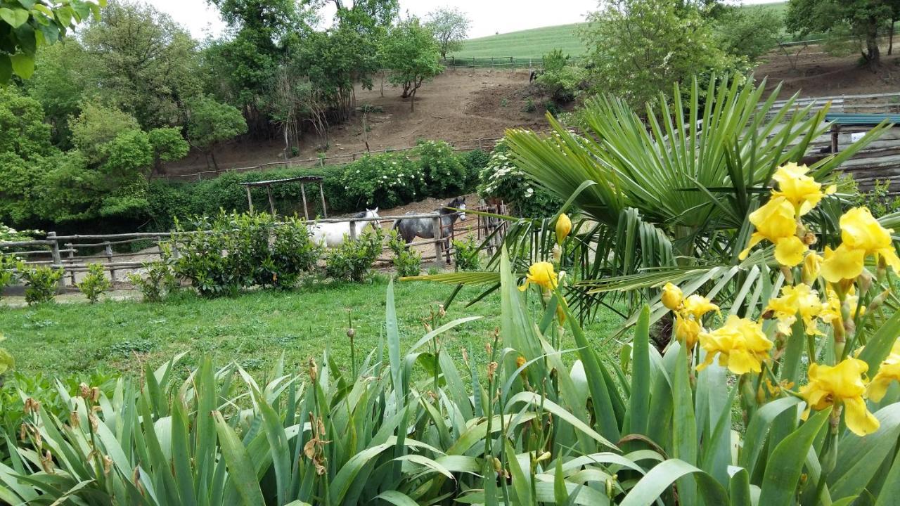 San Filippo Villa Acquapendente Exterior foto