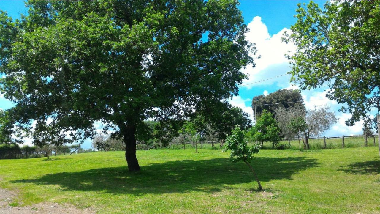 San Filippo Villa Acquapendente Exterior foto